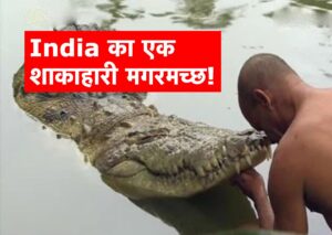 jaano india ka vegetarian crocodile jise koi nahi jaanta