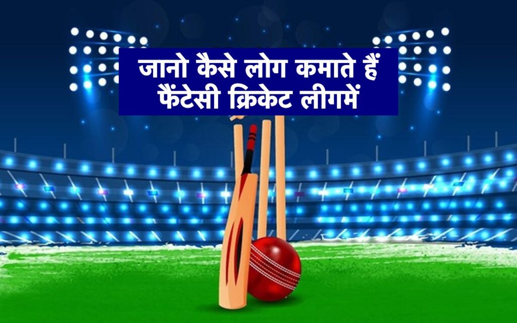 Know how people earn in fantasy cricket league
