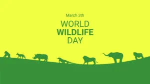 India Wildlife condition on World Wildlife Day
