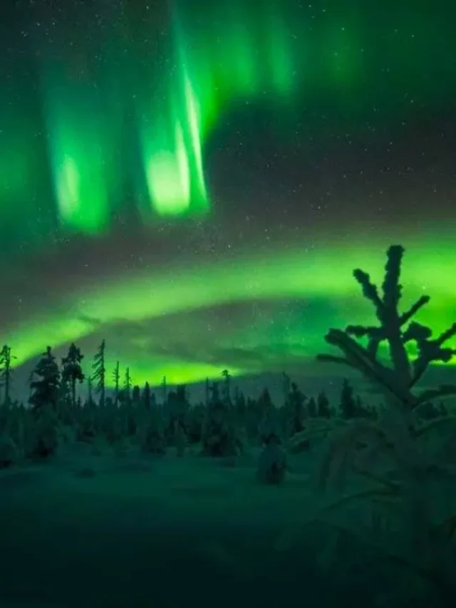 Northern Lights in Ladakh! Rare Auroras Seen in Ladakh Skies