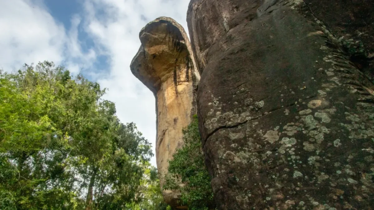 cobra hood cave in sigiriya rock fortress