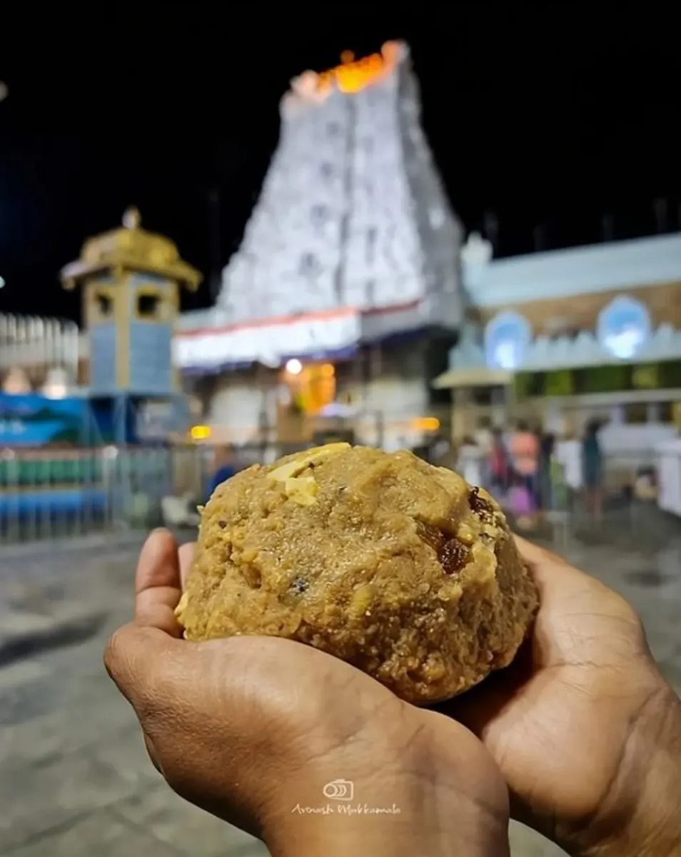 Tirupati Balaji Laddu