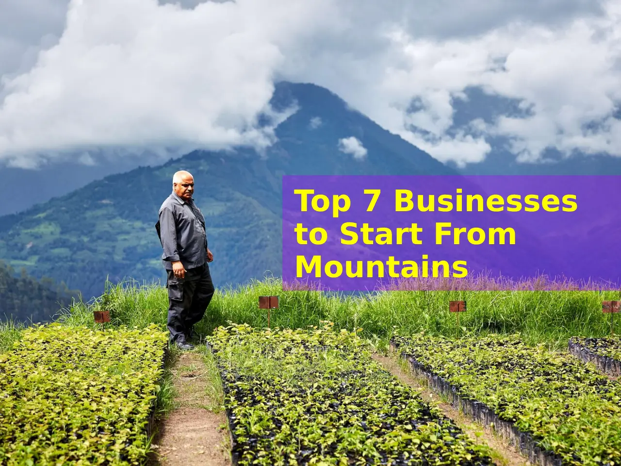 Top 7 Businesses to Start From Mountains In India