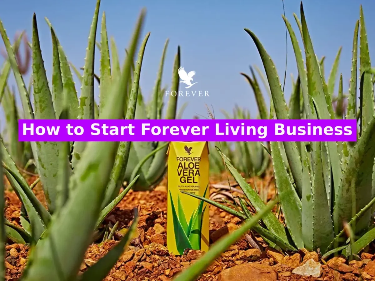How to Start Forever Living Business